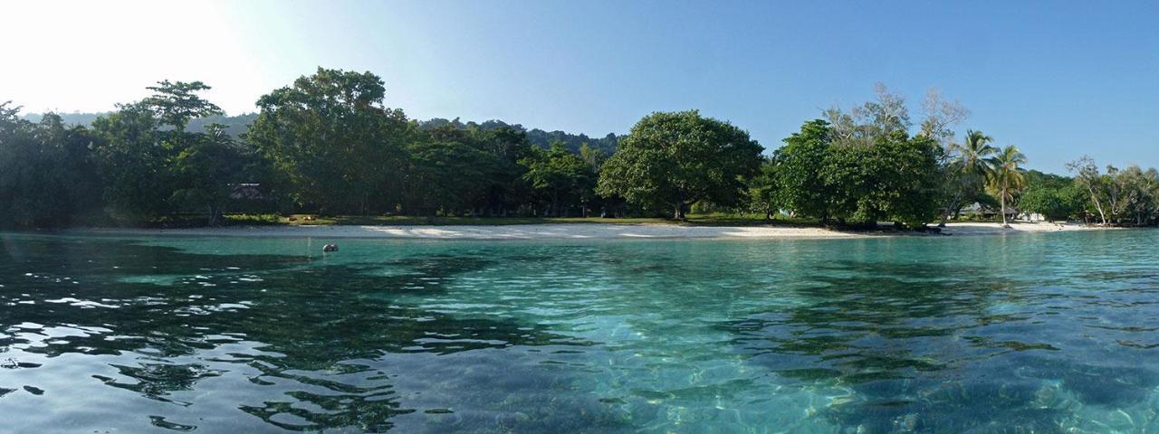 Nohe Ocean View Beach Bungalows Hog Harbour Esterno foto